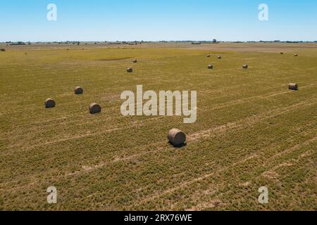 Grasballen in argentinischem Land, Provinz La Pampa, Patagonien, Argentinien Stockfoto