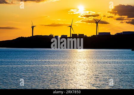 Der Sonnenuntergang hinter Windturbinen in der ehemaligen Ölraffinerie Gulf in Waterston, Milford Haven in Pembrokeshire, West Wales, Vereinigtes Königreich Stockfoto