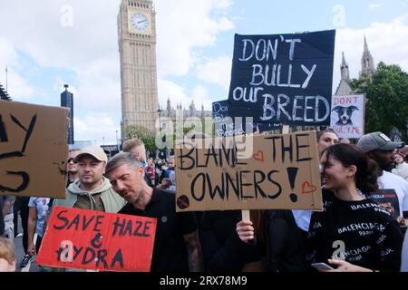 London, Großbritannien. September 2023. Besitzer amerikanischer Bully XL Hunde, die im Zentrum Londons protestieren. Quelle: Alamy Live News Stockfoto