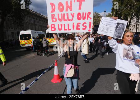 London, Großbritannien. September 2023. Besitzer amerikanischer Bully XL Hunde, die im Zentrum Londons protestieren. Quelle: Alamy Live News Stockfoto