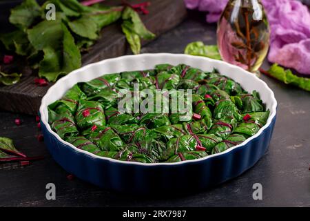 Dolma, Golfer, Sarma, Sarma mit Rübenblättern. Traditionelle hausgemachte Rote-Rüben-Brötchen mit Hackfleisch. Stockfoto