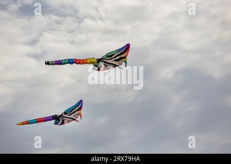 Bunte Drachen, die am Worthing Beach, West Sussex, geflogen werden Stockfoto