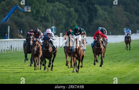 York Racecourse, York, Großbritannien, Samstag, 23. September 2023; September Power und Jockey Adam Farragher sorgen für einen Schock 40-1 auf der York Racecourse, indem sie die brasilianischen Einsätze von New to York Rio für Trainer Michael Wigham und Besitzer der Gin & Tonic Partnership gewinnen. Quelle: JTW equine Images/Alamy Live News Stockfoto