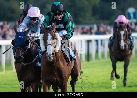 York Racecourse, York, Großbritannien, Samstag, 23. September 2023; September Power und Jockey Adam Farragher sorgen für einen Schock 40-1 auf der York Racecourse, indem sie die brasilianischen Einsätze von New to York Rio für Trainer Michael Wigham und Besitzer der Gin & Tonic Partnership gewinnen. Quelle: JTW equine Images/Alamy Live News Stockfoto