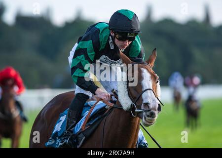 York Racecourse, York, Großbritannien, Samstag, 23. September 2023; September Power und Jockey Adam Farragher sorgen für einen Schock 40-1 auf der York Racecourse, indem sie die brasilianischen Einsätze von New to York Rio für Trainer Michael Wigham und Besitzer der Gin & Tonic Partnership gewinnen. Quelle: JTW equine Images/Alamy Live News Stockfoto