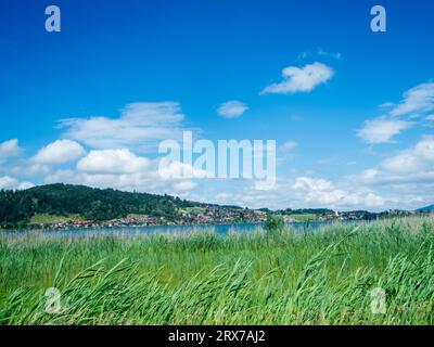 Blick über den Hopfensee in Bayern von der gegenüberliegenden Seite des Dorfes Hopfen am See im Sommer vor einem blauen Himmel mit weißen Wolken. Stockfoto