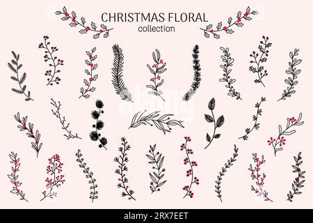 Weihnachtszweig. Stechpalmenpflanzen, Zweige und Blätter, Kiefernskizze mit Blatt und Blume, Beerendekoration. Elegante botanische Einrichtung für Weihnachtskarten und Poster. Elegante Botanik. Elemente der Vektordarstellung Stock Vektor