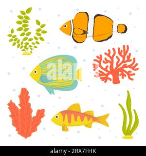 Sammlung. Fische und Algen isoliert auf weißem Hintergrund. Flacher Cartoon Stock Vektor
