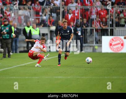 München, Deutschland 23. September 2023: Fussball, Herren, Bundesliga, Saison 2023/2024, FC Bayern München - VFL Bochum, Allianz Arena Thomas Müller, Müller (FC Bayern München) (li.) Spielen einen Ball im fallen, hier mit Patrick Osterhage (VFL Bochum) (Re.) Die DFB-Vorschriften verbieten die Verwendung von Fotografien als Bildsequenzen und/oder Quasi-Video Stockfoto