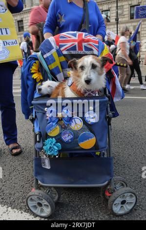 Frau bringt Hunde zum Londoner Nationalfeiertag zurück Stockfoto