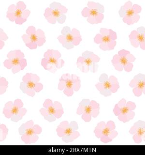 Zarte rosa Kirschblüten auf weißem Hintergrund Stock Vektor