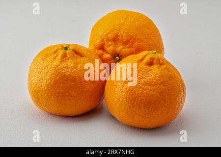 Drei große und saftige Mandarinen, deren leuchtende Orangetöne vor einem strahlend weißen Hintergrund strahlen Frische aus. Stockfoto