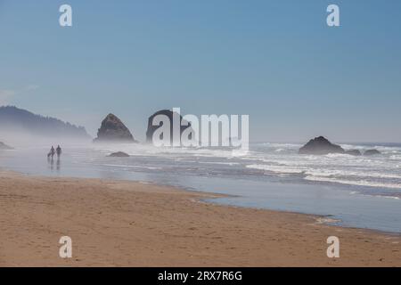 Cannon Beach Oregon USA - 21. August 2023 - Paare spazieren mit ihrem Hund am Strand entlang in den Meeresnebel Stockfoto