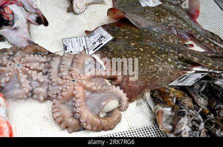 Frischer Fisch und Tintenfisch am gekühlten Marktstand, Mercado Municipal de Matosinhos, Porto, Portugal Stockfoto