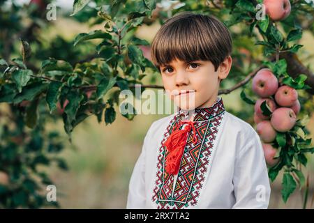 Porträt eines gutaussehenden ukrainischen Jungen in Apfelplantage. Traditionelle Kinderstickerei Stockfoto