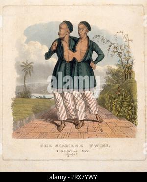 Chang und eng die siamesischen Zwillinge, 1811 – 1874, 18 Jahre alt in einer orientalischen Landschaft, farbiges Aquatint Stockfoto