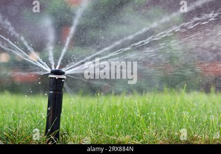 Helles Gras, das mit einem automatischen Sprinkler bewässert wird. Im Sommer einen Hausrasen bewässern. Stockfoto