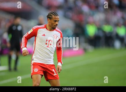 München, Deutschland 23. September 2023: Fussball, Herren, Bundesliga, Saison 2023/2024, FC Bayern München - VFL Bochum, Allianz Arena Leroy sane (FC Bayern München) Kopf, Oberkörper DFB-Vorschriften verbieten die Verwendung von Fotos als Bildsequenzen und/oder Quasi-Video Stockfoto