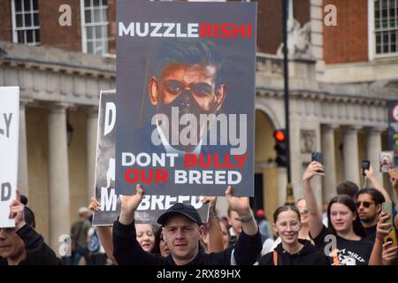 London, Großbritannien. September 2023. Hundebesitzer und Unterstützer marschierten in Westminster aus Protest gegen das amerikanische Bully-XL-Verbot. Die Hunderasse wird im Vereinigten Königreich nach einer Reihe von Angriffen auf Menschen verboten. Quelle: Vuk Valcic/Alamy Live News Stockfoto