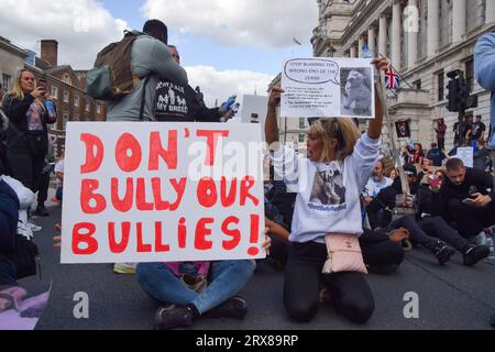 London, Großbritannien. September 2023. Demonstranten blockieren den Verkehr in Whitehall. Hundebesitzer und Unterstützer marschierten in Westminster aus Protest gegen das amerikanische Bully-XL-Verbot. Die Hunderasse wird im Vereinigten Königreich nach einer Reihe von Angriffen auf Menschen verboten. Quelle: Vuk Valcic/Alamy Live News Stockfoto