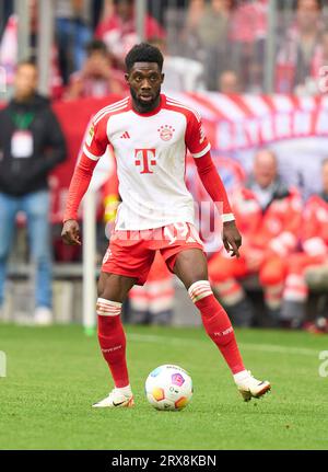 München, Deutschland. September 2023. Alphonso DAVIES, FCB 19 im Spiel FC BAYERN MÜNCHEN - VFL BOCHUM 7-0 am 23. September 2023 in München. Saison 2023/2024, 1.Bundesliga, FCB, München, Spieltag 5, Spieltag © Peter Schatz / Alamy Live News - DFL-VORSCHRIFTEN VERBIETEN DIE VERWENDUNG VON FOTOS als BILDSEQUENZEN und/oder QUASI-VIDEO - Credit: Peter Schatz/Alamy Live News Stockfoto