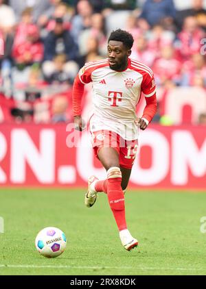 München, Deutschland. September 2023. Alphonso DAVIES, FC Barcelona 19 im Spiel FC BAYERN MÜNCHEN - VFL BOCHUM 7-0 am 23. September 2023 in München. Saison 2023/2024, 1.Bundesliga, FCB, München, Spieltag 5, Spieltag © Peter Schatz / Alamy Live News - DFL-VORSCHRIFTEN VERBIETEN DIE VERWENDUNG VON FOTOS als BILDSEQUENZEN und/oder QUASI-VIDEO - Credit: Peter Schatz/Alamy Live News Stockfoto