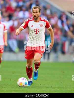 München, Deutschland. September 2023. Harry Kane, FCB 9 im Spiel FC BAYERN MÜNCHEN - VFL BOCHUM 7-0 am 23. September 2023 in München. Saison 2023/2024, 1.Bundesliga, FCB, München, Spieltag 5, Spieltag © Peter Schatz / Alamy Live News - DFL-VORSCHRIFTEN VERBIETEN DIE VERWENDUNG VON FOTOS als BILDSEQUENZEN und/oder QUASI-VIDEO - Credit: Peter Schatz/Alamy Live News Stockfoto