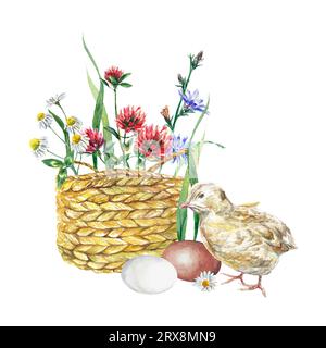 Korb mit Wildblumen und Huhn. Aquarellillustration zu einem Osterthema isoliert auf weißem Hintergrund. Grußkarten, Einladungen, Cover. Stockfoto