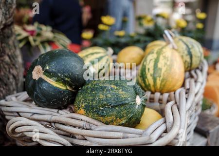 Selektiver Fokus auf den Häufchen von Kürbissen im Webkorb als halloween-Deko-Requisiten außerhalb des Geschäfts auf dem Bürgersteig. Stockfoto