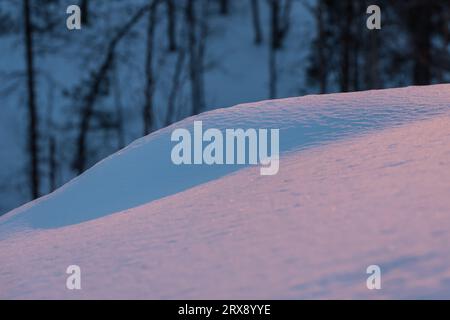 Sonnenuntergang Licht färbt die Oberfläche des Schnees in einem Winterwald in Finnland Stockfoto