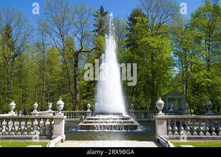 SANKT PETERSBURG, RUSSLAND - 30. MAI 2017: Brunnen 'Pyramide' Nahaufnahme an einem sonnigen Maitag. Unterer regelmäßiger Park, Peterhof Stockfoto