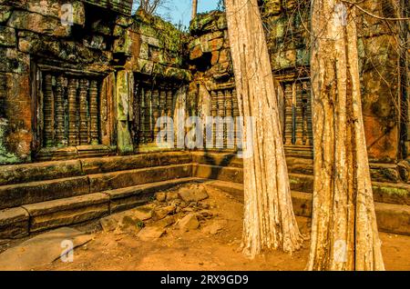 Antike Fenster im Dschungel, Prasat Krahom (Roter Tempel), Prasat Thom, Koh Ker, Preah Vihear Provinz, Kambodscha. © Kraig Lieb Stockfoto