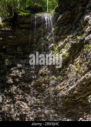 Blick auf fallendes Wasser von einer Klippe im Wald. Von unten nach oben Blick auf einen Felsen mit einem kleinen Wasserfall, der von einem Bach gebildet wird. Ein kleiner Wasserfall mit kristallklarem Wasser Stockfoto