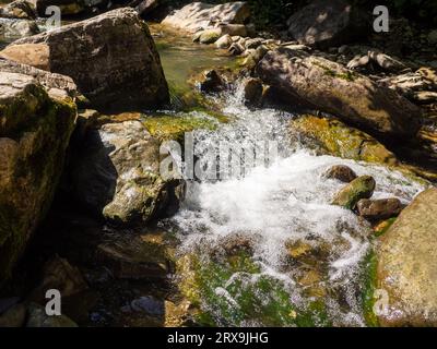 Die Stromschnellen auf dem Fluss. Gebirgsfluss fließt durch den grünen Wald. Bachlauf im Wald. Kleiner Fluss, der schnell und lebhaft durch seine Wildnis fließt Stockfoto
