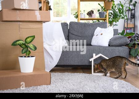 Boxen mit Dingen zum Bewegen, Katzenfutter und Hauspflanzen befinden sich im Zimmer des neuen Hauses. Zimmererwärmung, Familienbesitz, Frachttransport und d Stockfoto