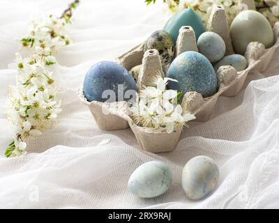 Blau bemalte ostereier in Tablett. Gefärbte Ostereier mit Marmorsteineffekt, hellblaue Farbe auf weißer Tischdecke mit Kirschblüte. Eier Hintergrund Stockfoto