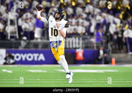 Seattle, WA, USA. September 2023. California Golden Bears Quarterback Ben Finley (10) rollt aus und wirft während des NCAA-Fußballspiels zwischen den Cal Bears und Washington Huskies im Husky Stadium in Seattle, WA. Steve Faber/CSM/Alamy Live News Credit: CAL Sport Media/Alamy Live News Stockfoto