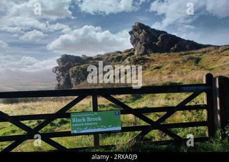 NATURSCHUTZGEBIET BLACK BROOK Stockfoto