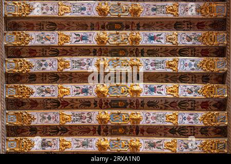 Detail der bemalten Decke eines mittelalterlichen Gebäudes Stockfoto