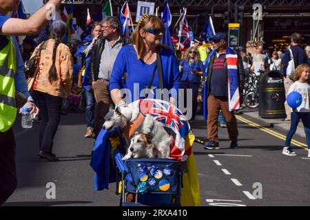 London, Großbritannien. September 2023. Pro-EU-Hunde nehmen am märz Teil. Tausende von Anti-Brexit-Demonstranten nahmen an der Nationalen Wiederantrittsmarsch im Zentrum Londons Teil und forderten, dass das Vereinigte Königreich wieder der EU Beitritt. Quelle: Vuk Valcic/Alamy Live News Stockfoto