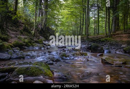 Szepit Wasserfall, Hylaty Bach, Bieszczady Berge, Bieszczadzki Nationalpark, die wildeste Region in Polen, polnische Berge und Landschaften Stockfoto