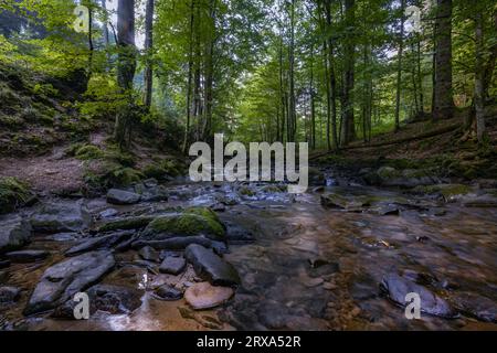 Szepit Wasserfall, Hylaty Bach, Bieszczady Berge, Bieszczadzki Nationalpark, die wildeste Region in Polen, polnische Berge und Landschaften Stockfoto