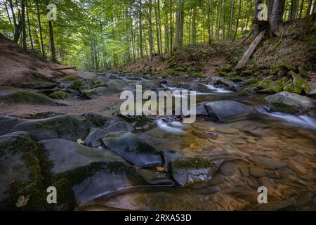 Szepit Wasserfall, Hylaty Bach, Bieszczady Berge, Bieszczadzki Nationalpark, die wildeste Region in Polen, polnische Berge und Landschaften Stockfoto