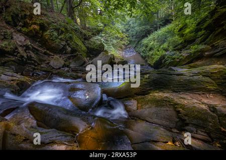 Szepit Wasserfall, Hylaty Bach, Bieszczady Berge, Bieszczadzki Nationalpark, die wildeste Region in Polen, polnische Berge und Landschaften Stockfoto