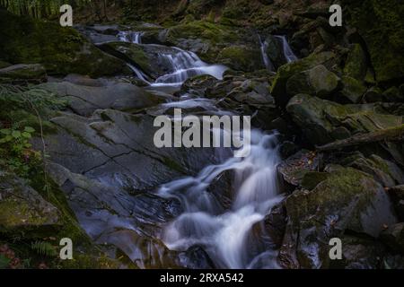 Szepit Wasserfall, Hylaty Bach, Bieszczady Berge, Bieszczadzki Nationalpark, die wildeste Region in Polen, polnische Berge und Landschaften Stockfoto