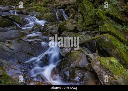 Szepit Wasserfall, Hylaty Bach, Bieszczady Berge, Bieszczadzki Nationalpark, die wildeste Region in Polen, polnische Berge und Landschaften Stockfoto