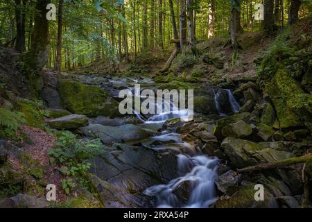 Szepit Wasserfall, Hylaty Bach, Bieszczady Berge, Bieszczadzki Nationalpark, die wildeste Region in Polen, polnische Berge und Landschaften Stockfoto