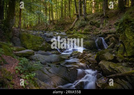 Szepit Wasserfall, Hylaty Bach, Bieszczady Berge, Bieszczadzki Nationalpark, die wildeste Region in Polen, polnische Berge und Landschaften Stockfoto