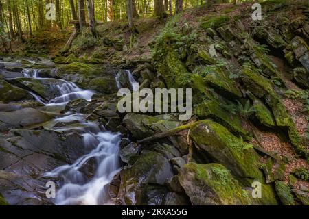 Szepit Wasserfall, Hylaty Bach, Bieszczady Berge, Bieszczadzki Nationalpark, die wildeste Region in Polen, polnische Berge und Landschaften Stockfoto