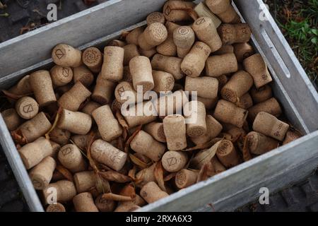 Weinflaschenkorken abgebildet in Chichester, West Sussex, Großbritannien. Stockfoto